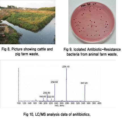 항생제 내성 미생물을 분리 동정하여 동물용 의약품으로 오염된 토양 및 수질 복원에 관한 연구